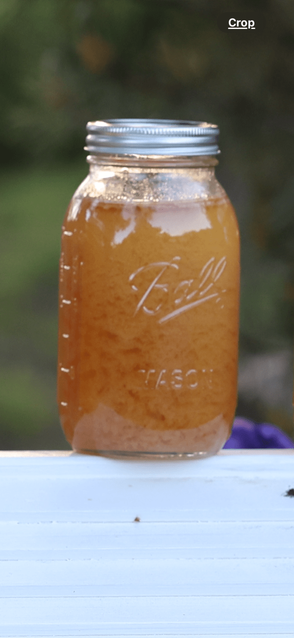 Local Organic Honey in Boise Idaho