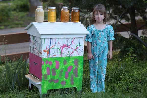 Purchase Live Honey Bees